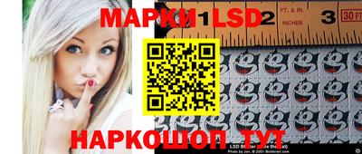 spice Моздок